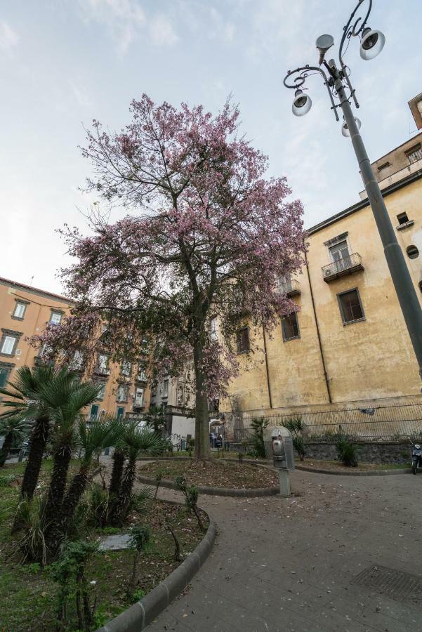 Donnare Casavacanza - Historic Center Of Napoli Dış mekan fotoğraf